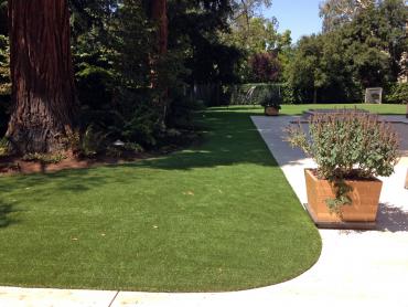 Artificial Grass Photos: Turf Grass Acton, California Watch Dogs, Front Yard Landscaping Ideas