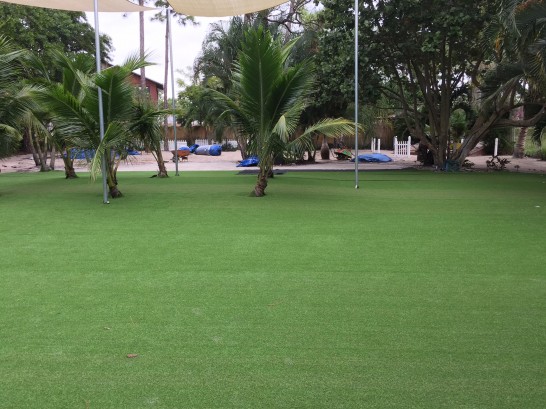 Artificial Grass Photos: Turf Grass Agoura, California Backyard Playground, Commercial Landscape