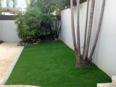 Artificial Grass Photos: Turf Grass Belvedere, California Rooftop, Backyards