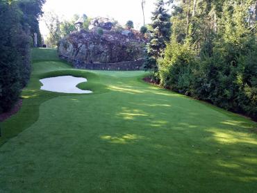 Artificial Grass Photos: Turf Grass East Pasadena, California Indoor Putting Greens, Commercial Landscape