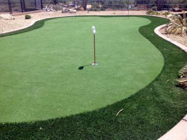 Artificial Grass Photos: Turf Grass Pasadena, California Putting Green Carpet, Backyard Design