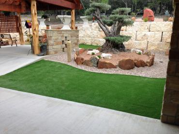 Artificial Grass Photos: Turf Grass Perris, California Rooftop, Backyard Makeover