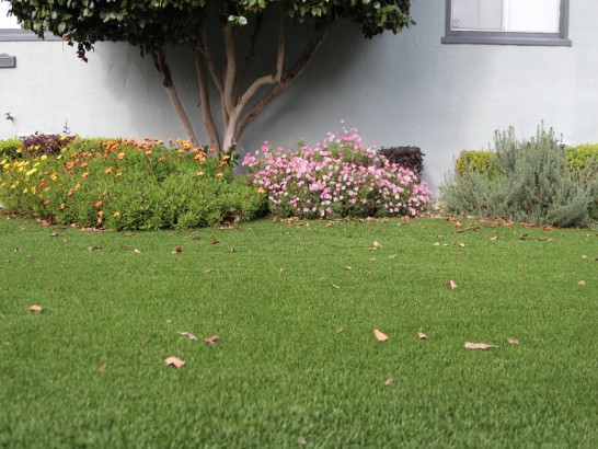 Artificial Grass Photos: Turf Grass Rolling Hills Estates, California Lawn And Garden, Front Yard Landscaping Ideas