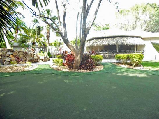 Artificial Grass Photos: Turf Grass South San Jose Hills, California Indoor Putting Green, Commercial Landscape