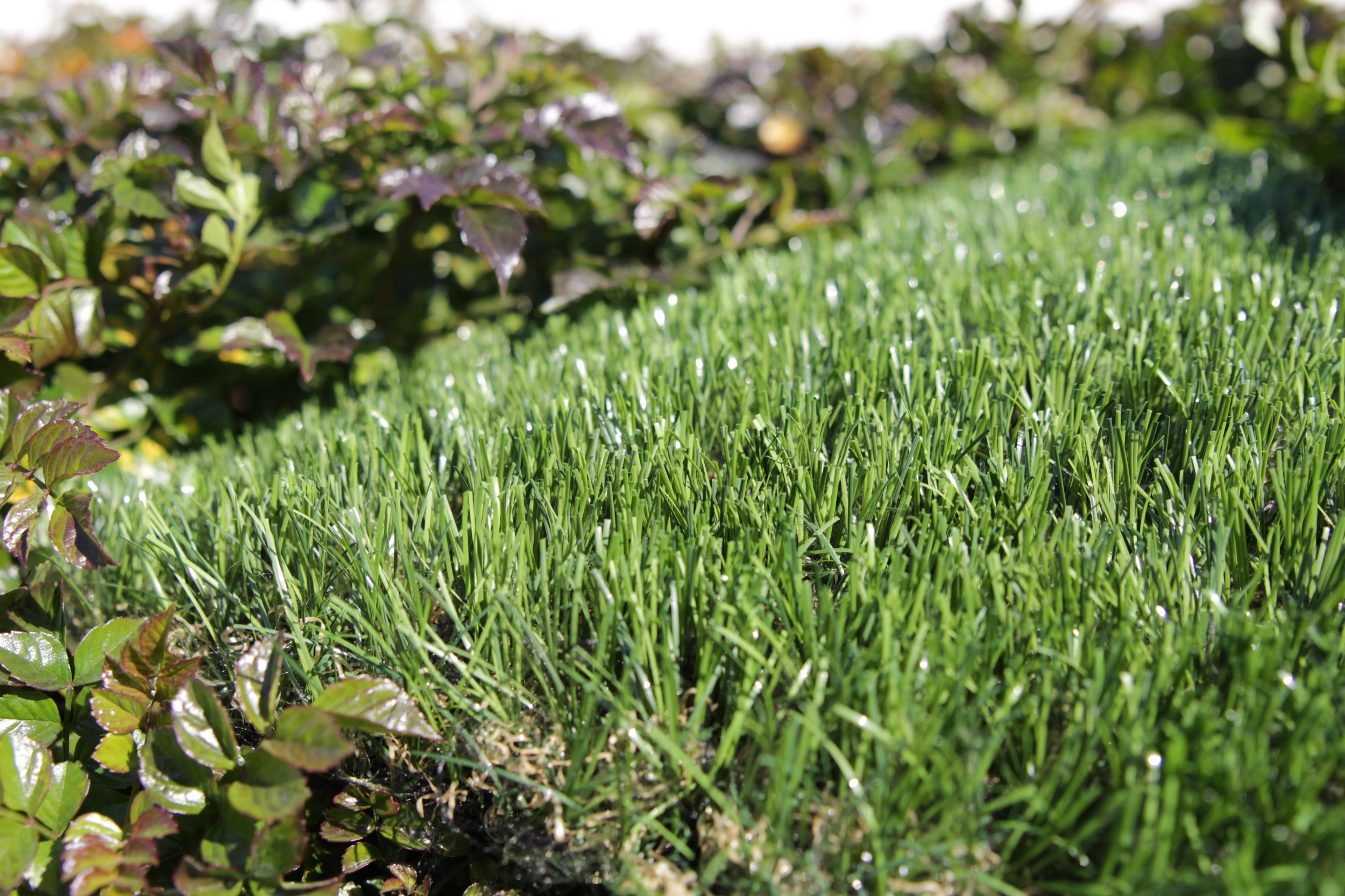Artificial Grass Silky Artificial Turf