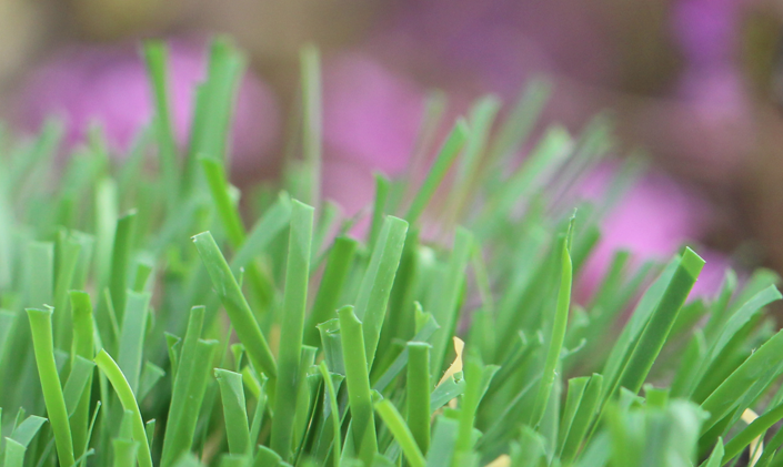 Artificial Grass Emerald-52 Artificial Grass Inland Empire, California