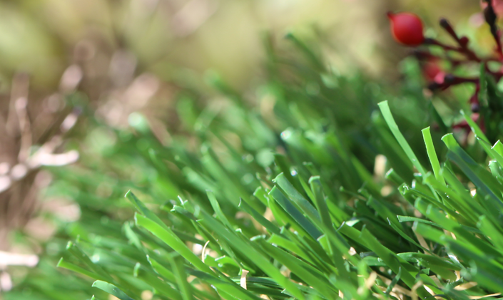 Artificial Grass Emerald-70 Artificial Grass Inland Empire, California