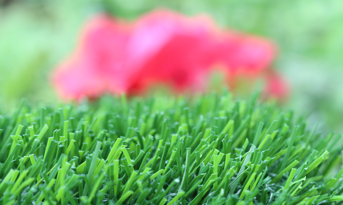 Artificial Grass Evergreen-80 Artificial Grass Inland Empire, California