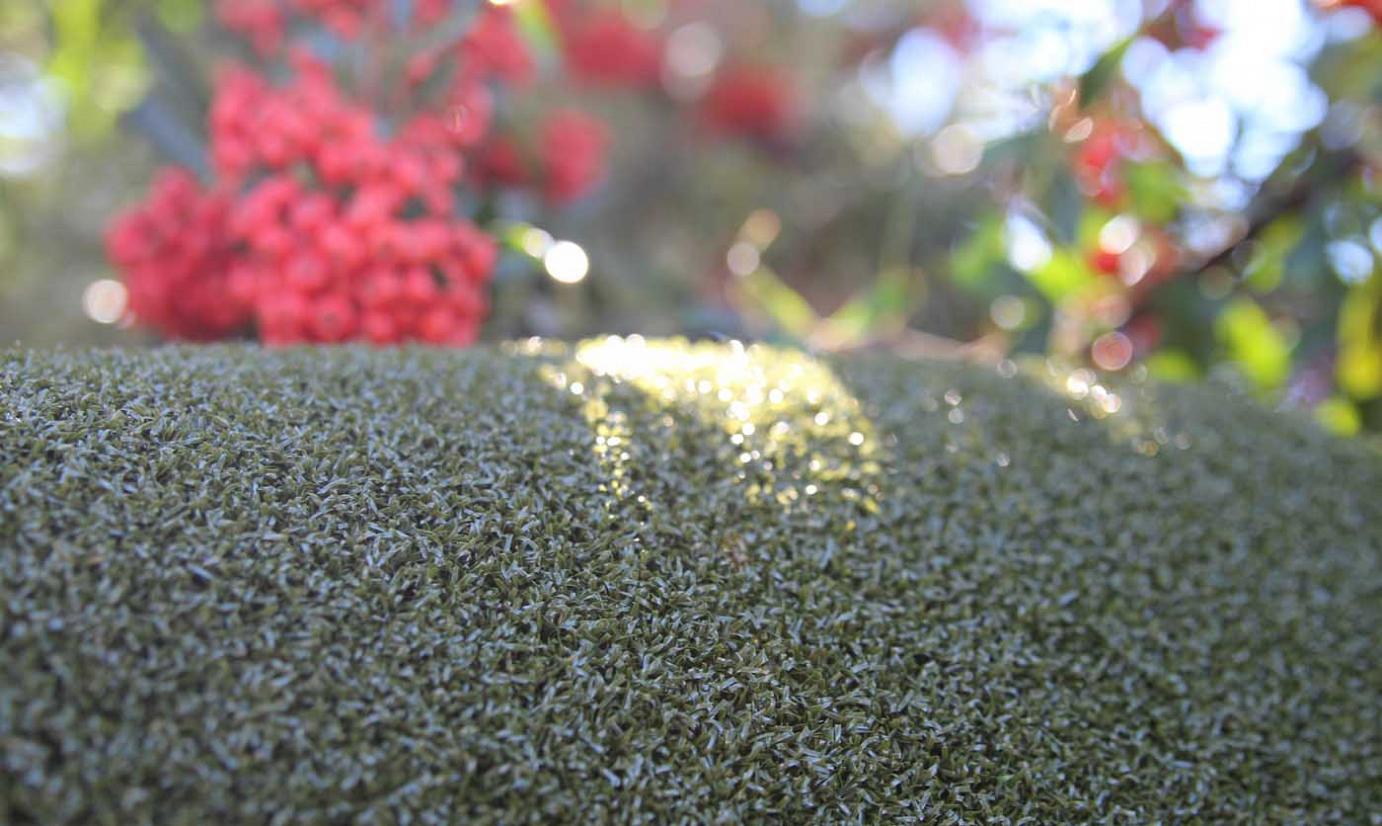 Artificial Grass Putting Green Grass