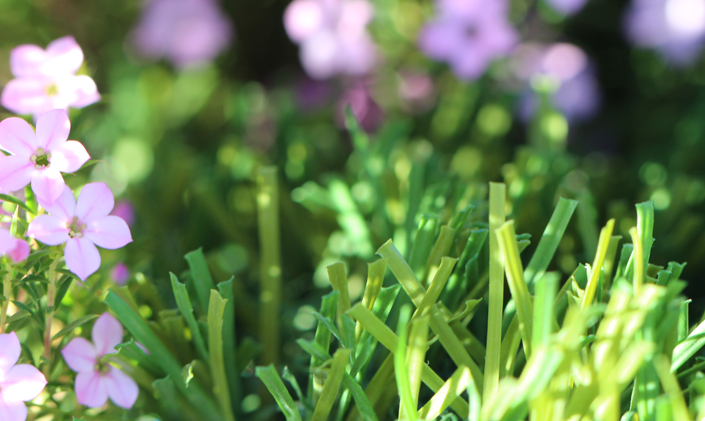 Artificial Grass S Blade 66 Green on Green Artificial Grass Inland Empire, California