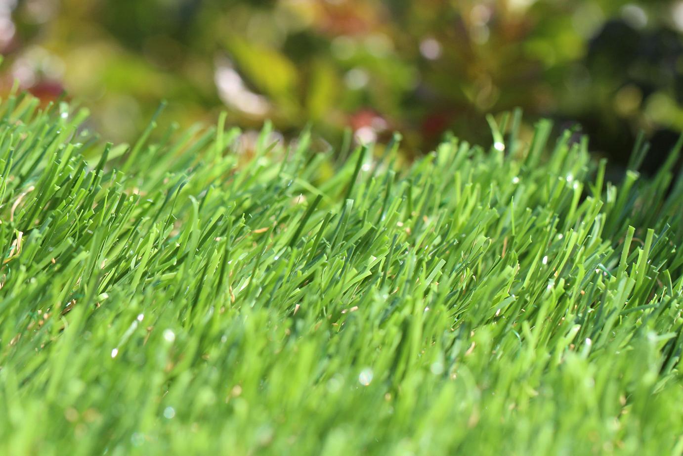 Artificial Grass Buy Artificial Turf