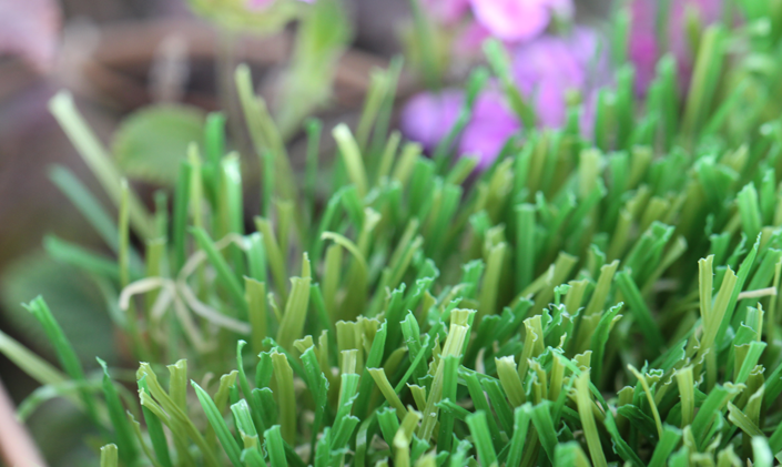Artificial Grass Coolest Synthetic Grass