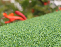 Artificial Putting Green Turf