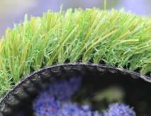 Artificial Grass Turf