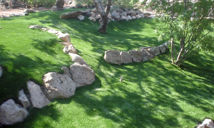 Artificial Grass for Commercial Applications in Inland Empire, California