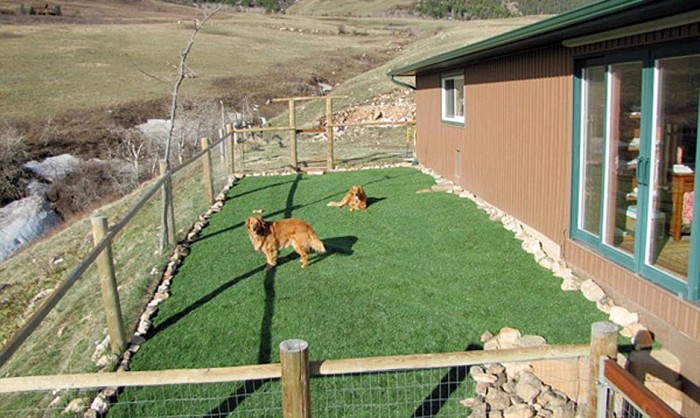 Pet Grass, Artificial Grass For Dogs in Inland Empire, California